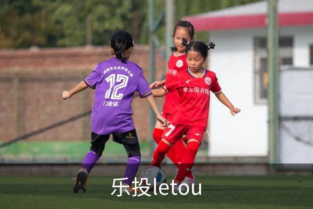 乐投letou公司简介展示图